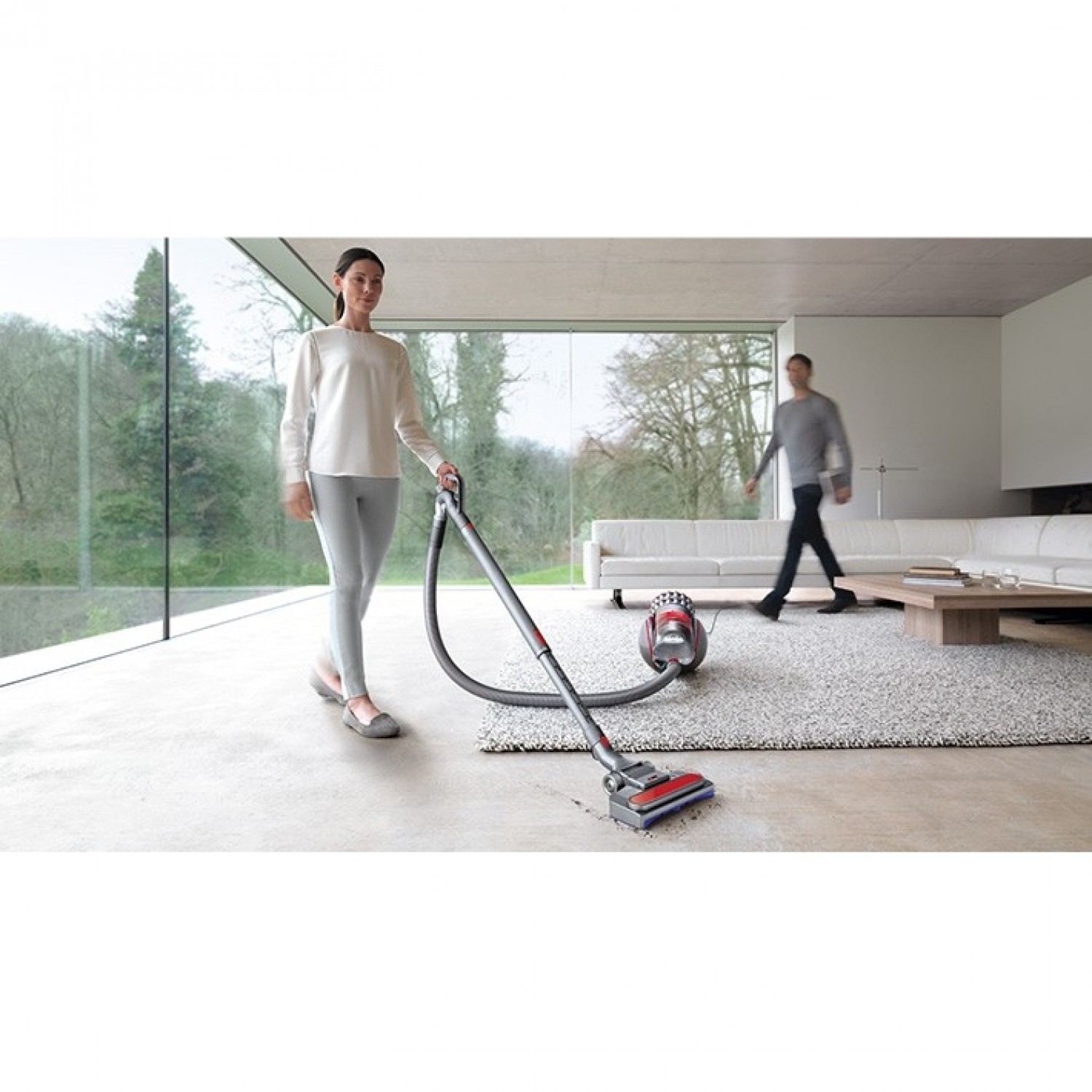 Купить Пылесос Dyson Animal Pro 2